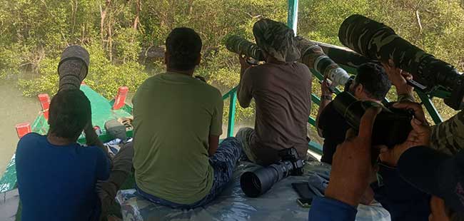 Boat Safari Experiences